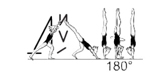 Jump kick or press to hstd â€“
return movement optional, also
with Â½ and 1/1 turn (180Â° - 360Â°)
in hstd 