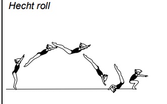 Hecht roll