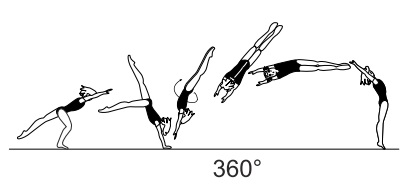 Handspring fwd with 1/1 twist
(360Â°) after hand support or before
 (Mostepanova)