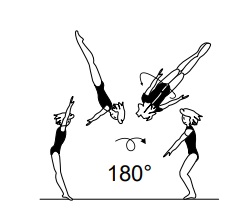 Salto fwd stretched, also with Â½ twist (180Â°)