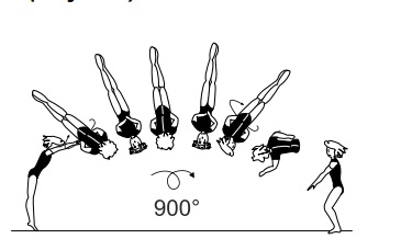 Salto fwd stretched with 2Â½ twist
(900Â°) 