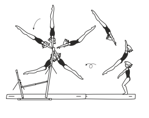 Swing bwd to salto fwd tucked,
piked or stretched or
clear straddle circle fwd on HB to
salto fwd tucked
