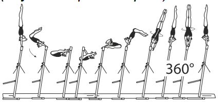 Stalder fwd in L grip with 1/1 turn
(360Â°) to hstd
(any technique accepted)