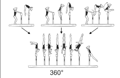 Jump, press, or swing to hstd â€“
1/1 turn (360Â°) in hstd â€“ release
one hand with swing down swd to
rear support