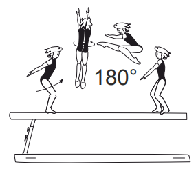 Wolf hop or jump with Â½ turn
(180Â°) from cross position