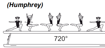 2/1 turn (720Â°) or 2Â½ turn (900Â°) in
tuck stand on one leg â€“ free leg
straight throughout turn