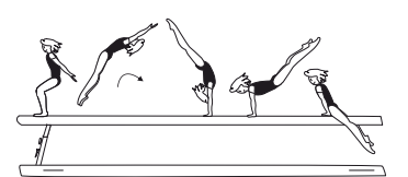 Flic-flac or Gainer flic-flac â€“ with
high flight phase, and swing down
to cross straddle sit 