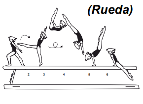 Flic-flac or Gainer flic-flac â€“ with
piking and stretching of hips in
flight phase and swing down to
cross straddle sit