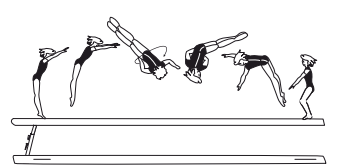 Free (aerial) round-off tucked or
piked â€“ take off from 2 feet