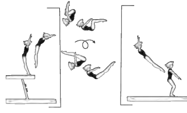 Salto fwd tucked or piked,
also with Â½ twist (180Â°)