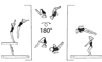 Salto fwd tucked or piked,
also with Â½ twist (180Â°)