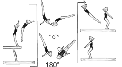 Salto fwd stretched,
also with Â½ twist (180Â°)