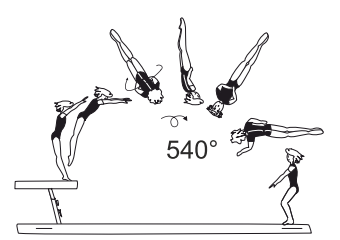 Salto fwd stretched with 1/1 twist
(360Â°) or 1Â½ twist (540Â°)