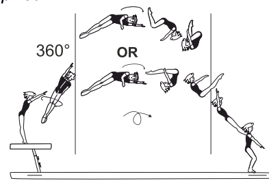 Stretched jump fwd with 1/1 twist
(360Â°) and salto fwd tucked or
piked 