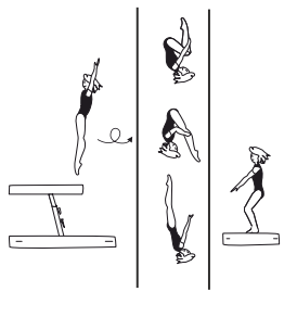 Salto bwd tucked, piked, or
stretched, also with Â½
