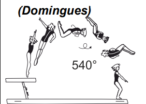 Salto bwd tucked or stretched with
1Â½ twist (540Â°)