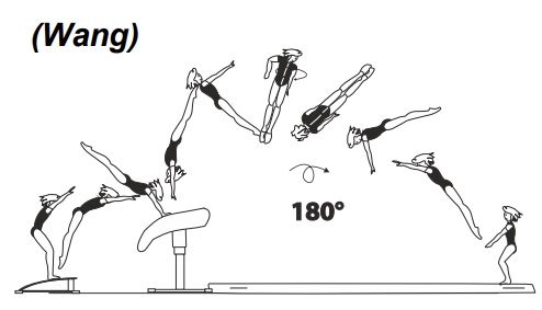 Handspring fwd on â€“ stretched salto
fwd with Â½ twist (180Â°) off 