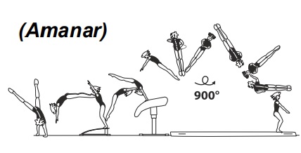 Round-off, flic-flac on â€“stretched
salto bwd with 2Â½ twist (900Â°) off 